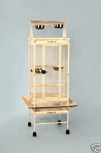bird cage in Cages