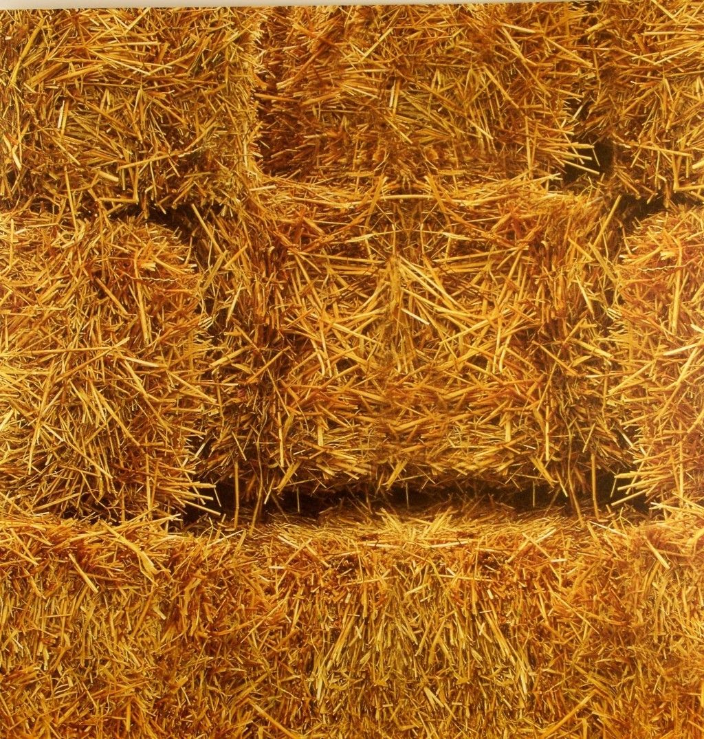 DCWV Scrapbook Paper HAY BALES FIELD STRAW HARVEST FALL 1  12X12 Page 
