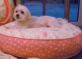 Pampered Pooch 36 inch Round Dog Bed Cover Bones on Pink Canvas