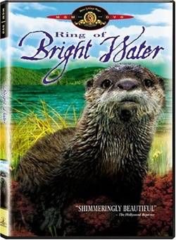 Ring of Bright Water Moving Family Tale 1969 DVD New