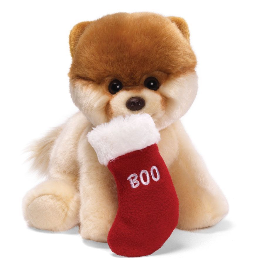 GUND BOO the worlds cutest dog   Christmas Stocking #4030387