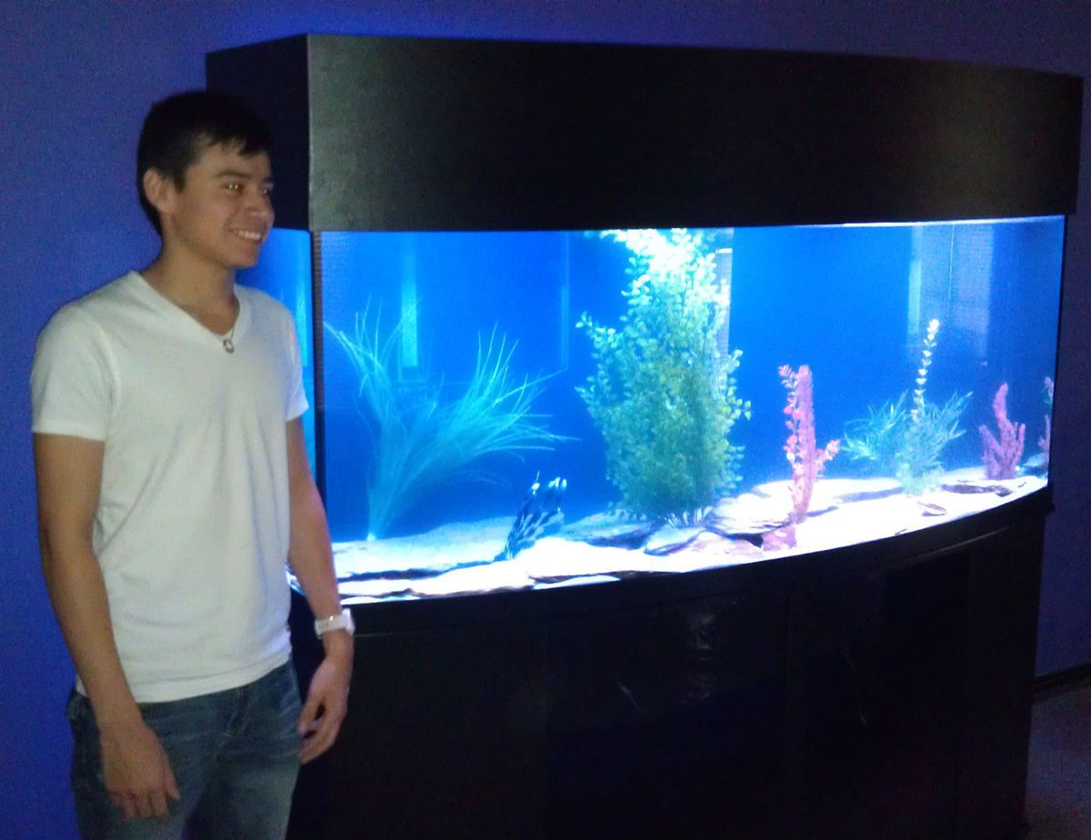 160 gallon oceanic bow front fresh water aquarium fish tank.