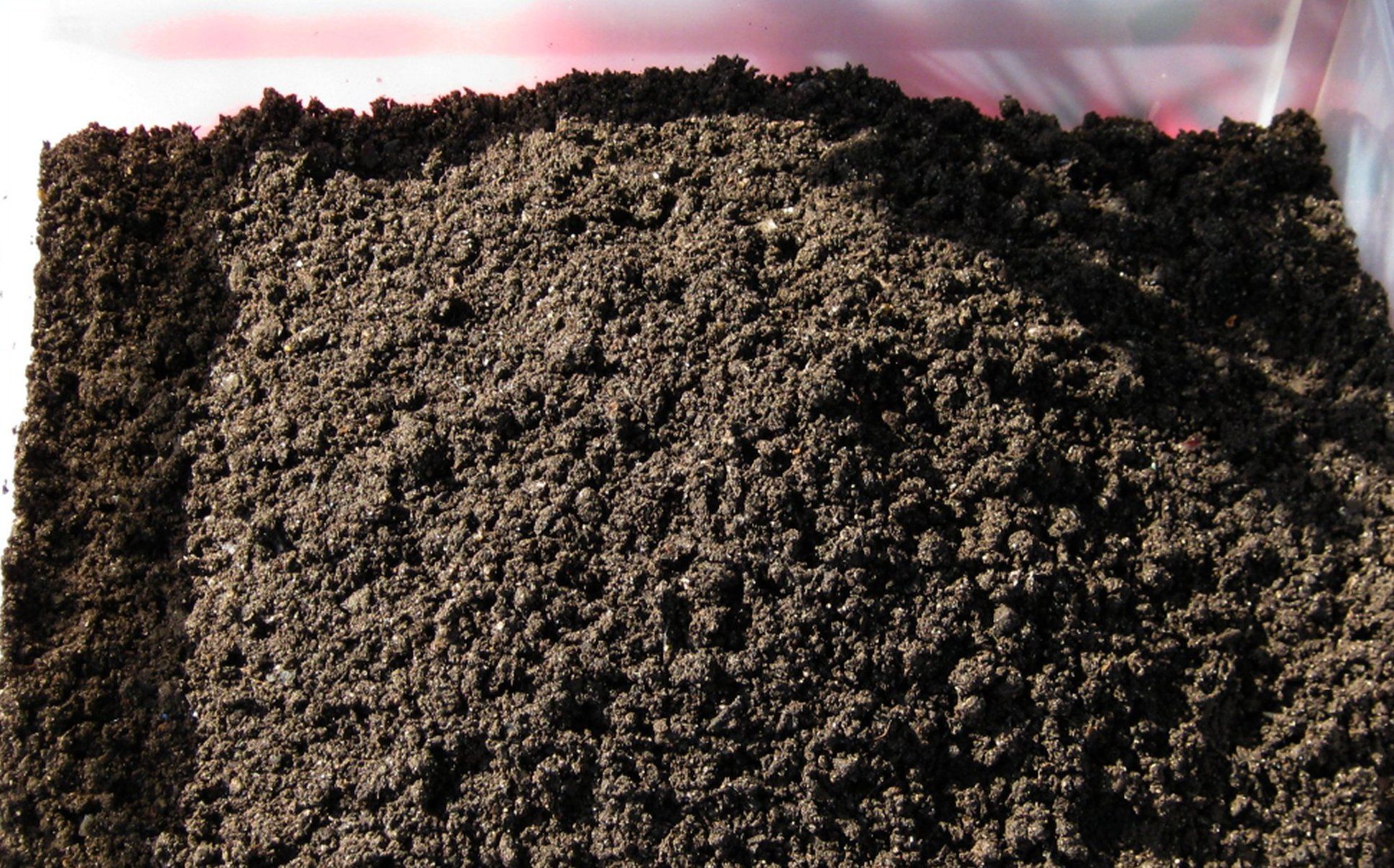  Premium Worm Castings Compost 3 Pound 3 lb Screened for Tea