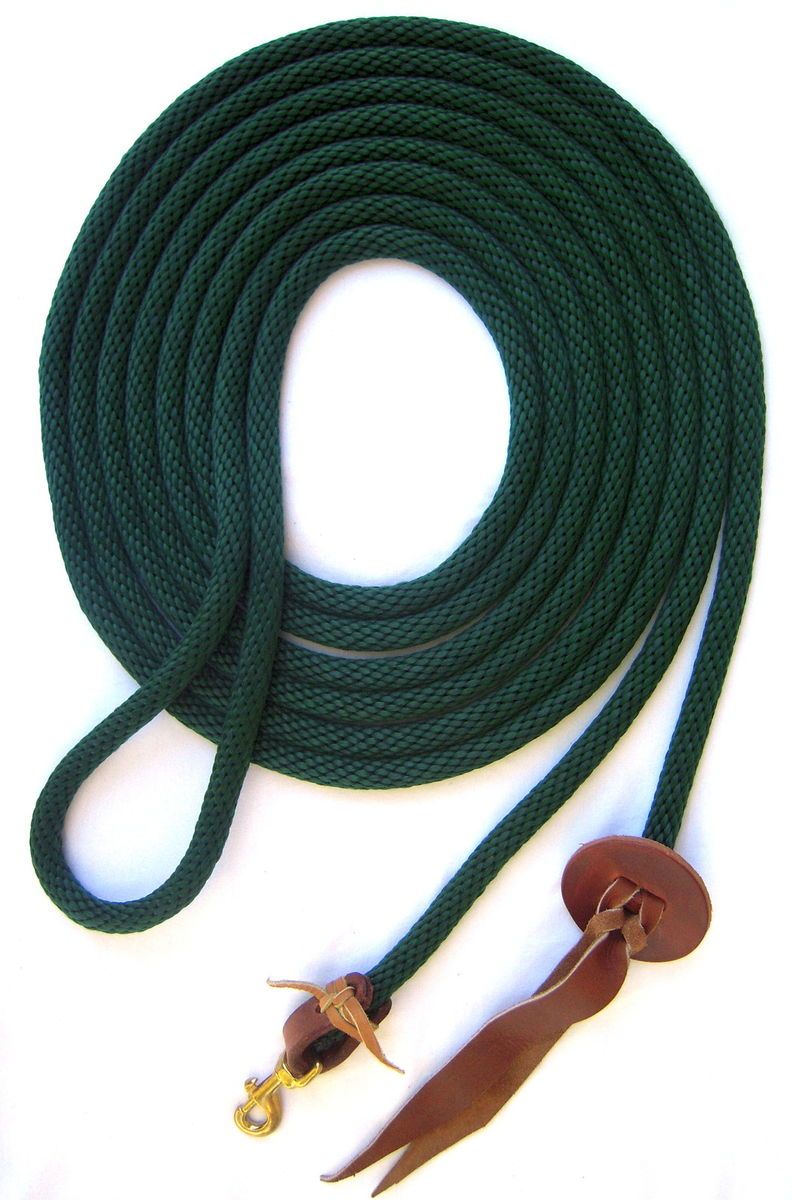 LUNGE LINE 5 8 X 25 HUNTER GREEN DERBY ROPE WITH BRASS SNAP HORSE TACK