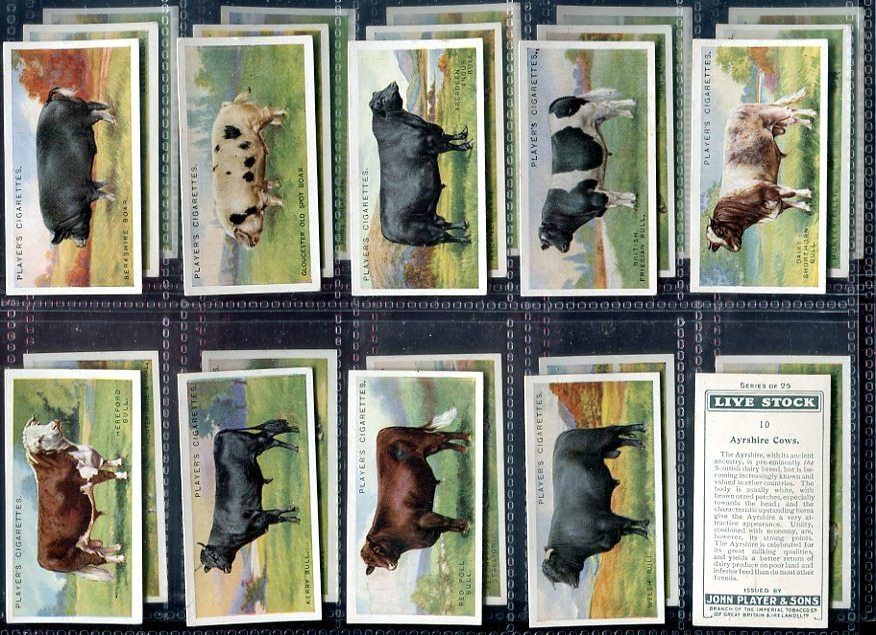  Card Set, John Player, LIVE STOCK, Pig,Bull,Cow,Horse,Ram,Cattle, 1925