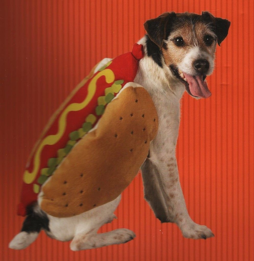 Hot Dog Pet Costume Cute Halloween Weiner Bun Canine M Large XL Plush