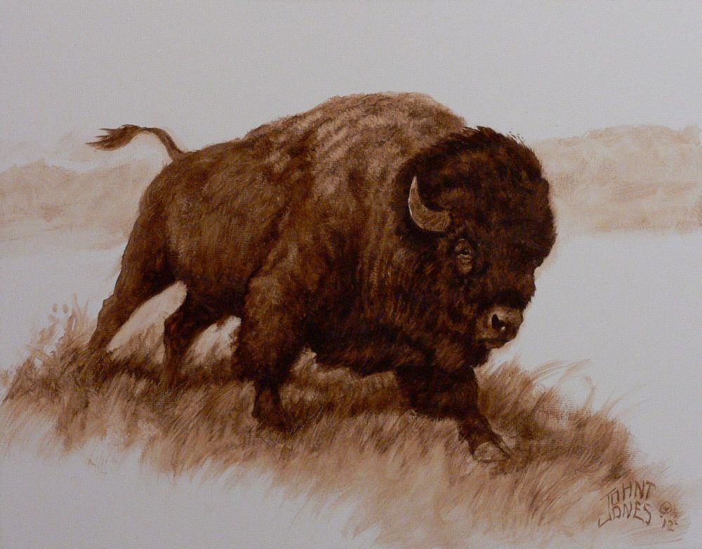 Original American Western Art Buffalo Painting Raw Umber Oil Study John T Jones  