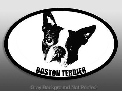Oval Boston Terrier Sticker  1 decal dog breed stickers