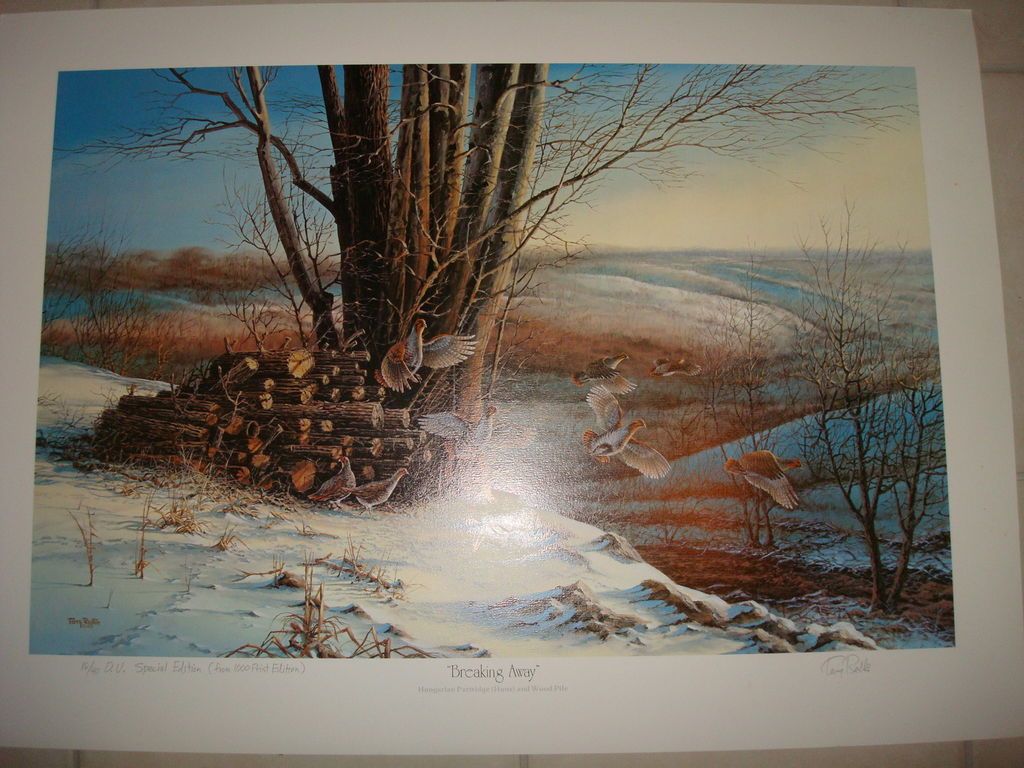 Terry Redlin Breaking Away Ducks Unlimited Special Edition 16/40